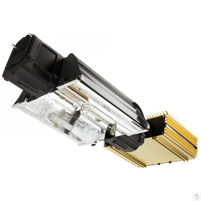 DimLux Expert Series 630 Watt CMH Grow Light with Dual 3,100K CMH Bulbs, 240 Volt