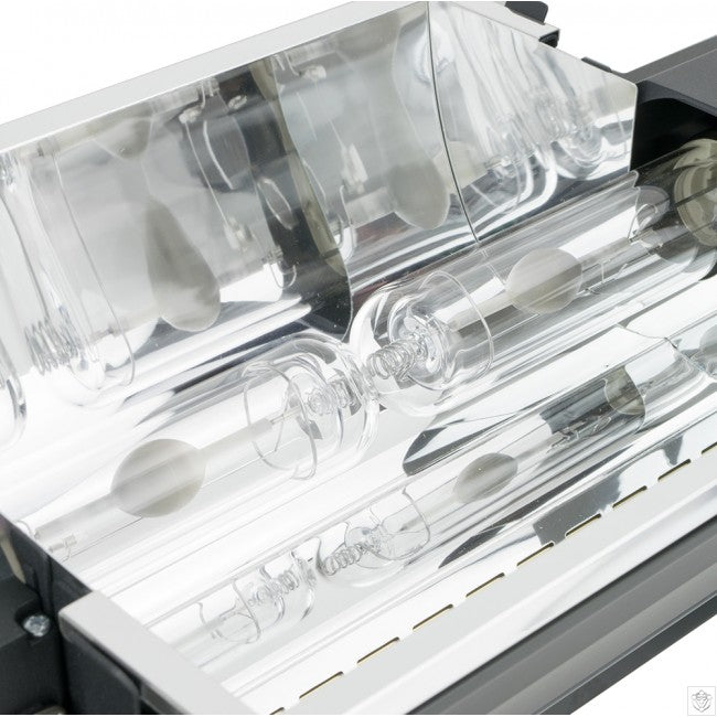 DimLux Expert Series 630 Watt CMH Grow Light with Dual 3,100K CMH Bulbs, 240 Volt