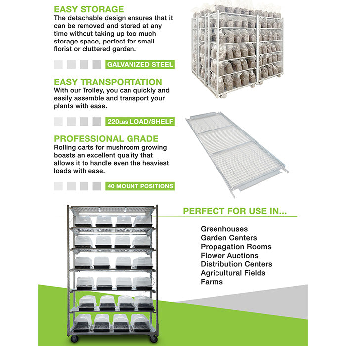 DL Wholesale Mobile Metal Plant Trolley With 4 Casters, Galvanized Steel, 59 Inch x 22 Inch x 88 Inch