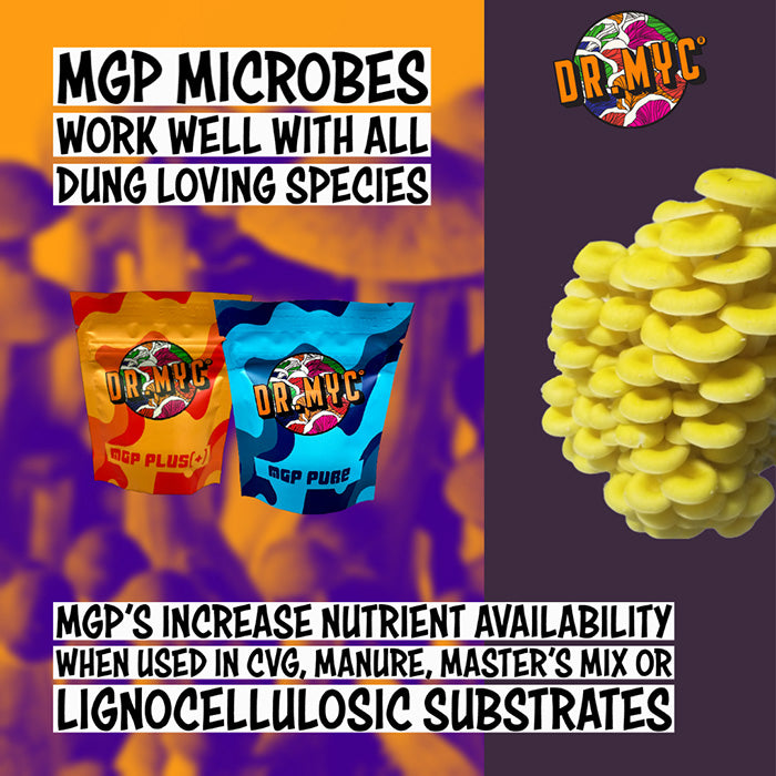 Dr. Myc MGP Pure Microbes
