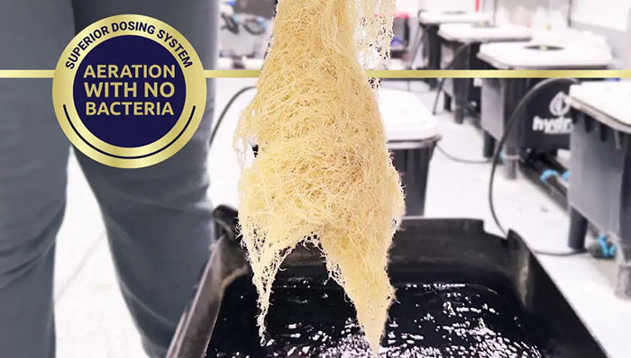 Hydra Unlimited HydraMax Venturi Circulator