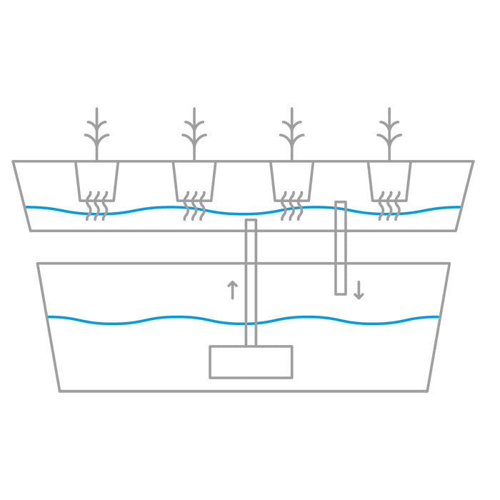 Ebb and Flow Hydroponic System Creator