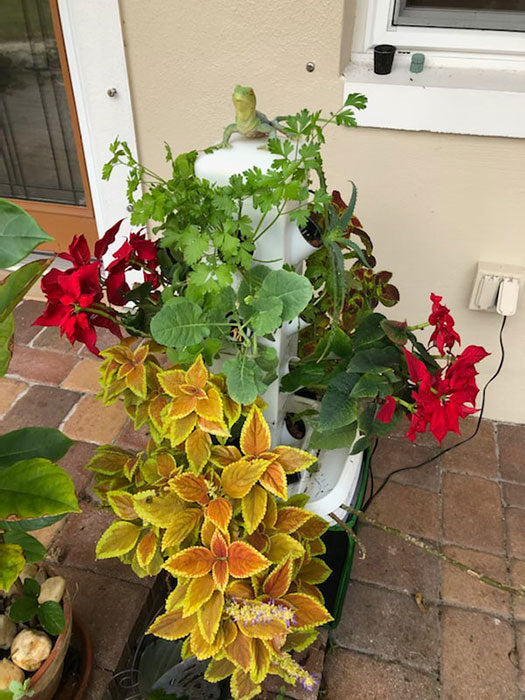 ExoTower Hydroponic Garden Tower