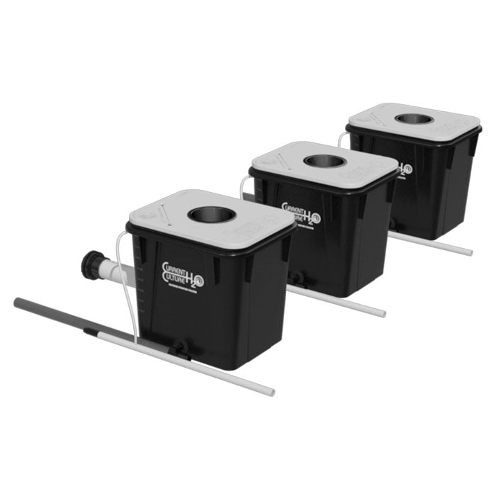 Current Culture 3-Site Multi-Mod Expansion Kit for Under Current Evolution XL