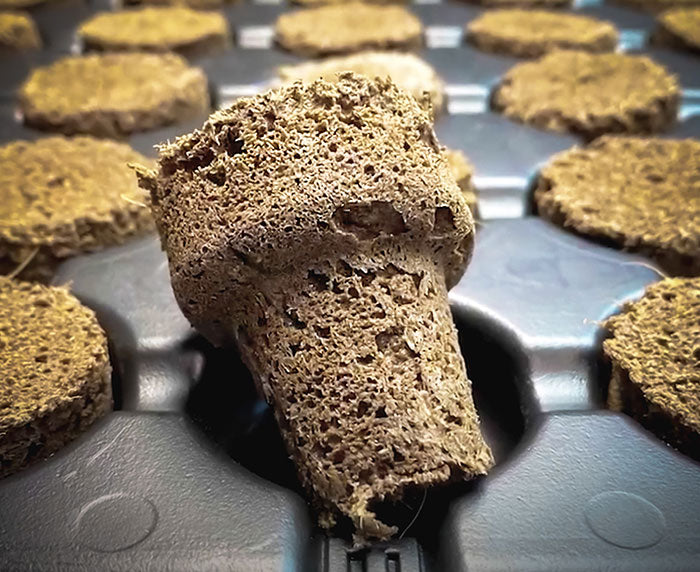 EZ-Clone Propagator Pro Cloning Collar