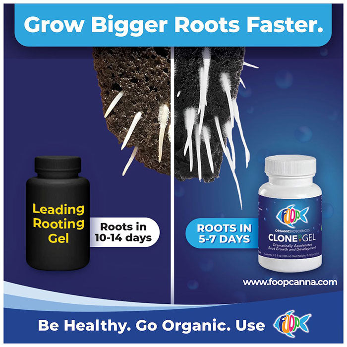 FOOP Clone Gel, 4 oz.