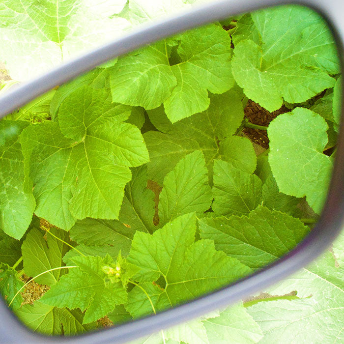 Method Seven Evolution FX