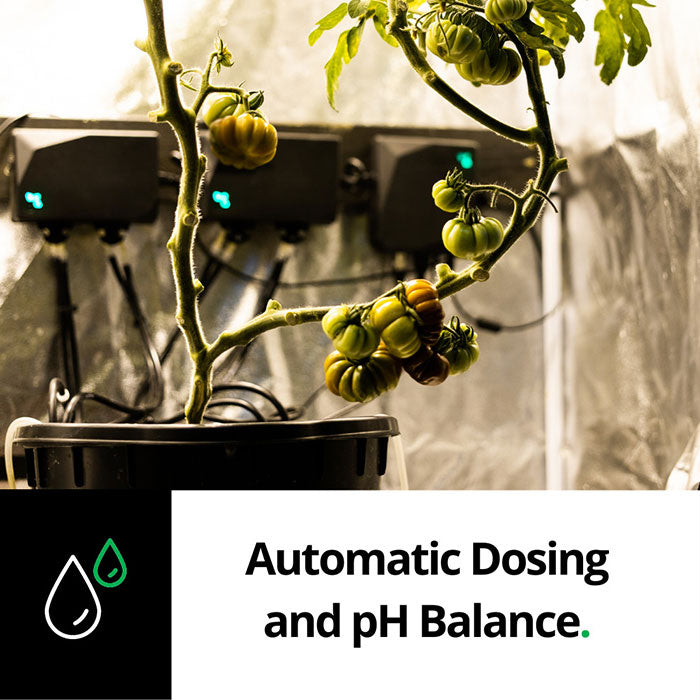 Growee pH & Nutrient Dosing System