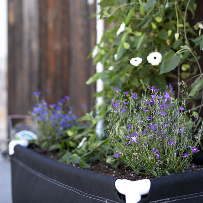 GeoPot GeoPlanter Fabric Raised Bed