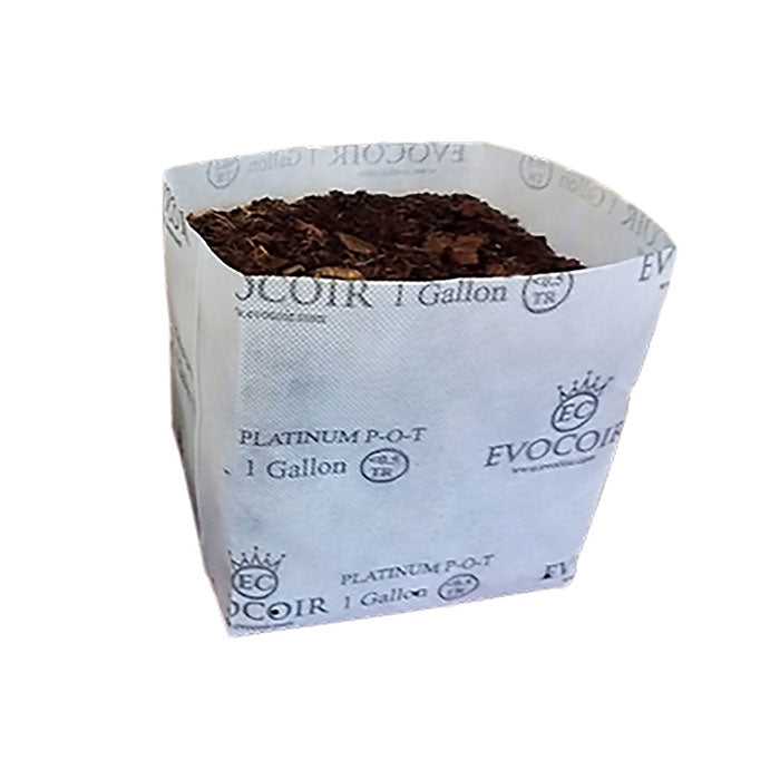 Evocoir Platinum 70/30 Treated Coco Blend Open Top Plastic Grow Bag, 1 Gallon