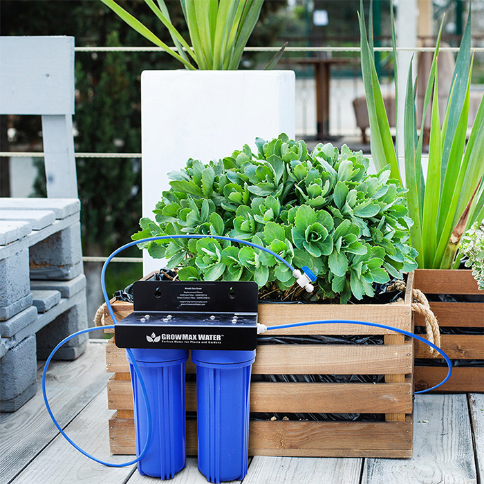 GrowMax Water Eco Grow 240 Dechlorinator & Sediment Water Filter System, Treats Up To 10,000 Gallons