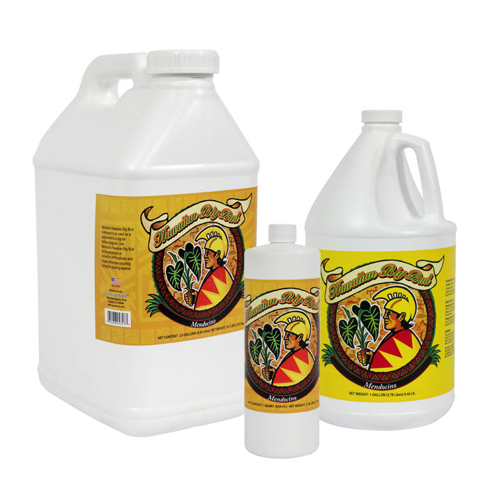 Grow More Mendocino Hawaiian Big Bud