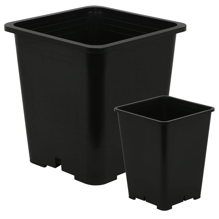 Gro Pro Premium Black Square Pot