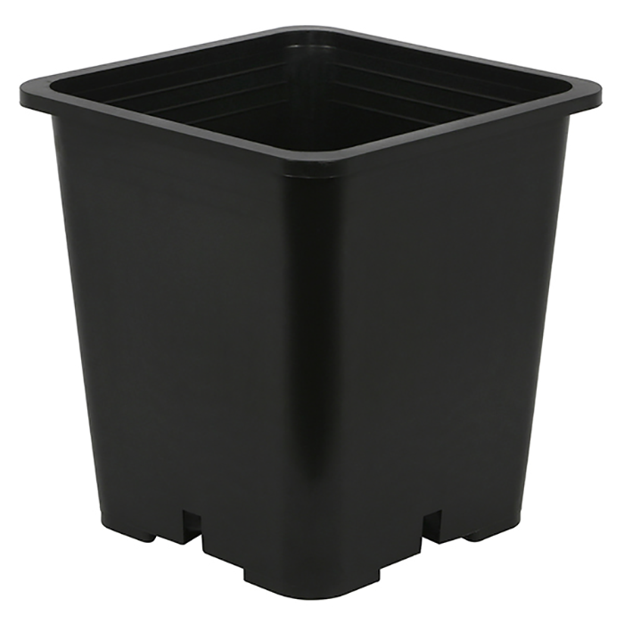 Gro Pro Premium Black Square Pot