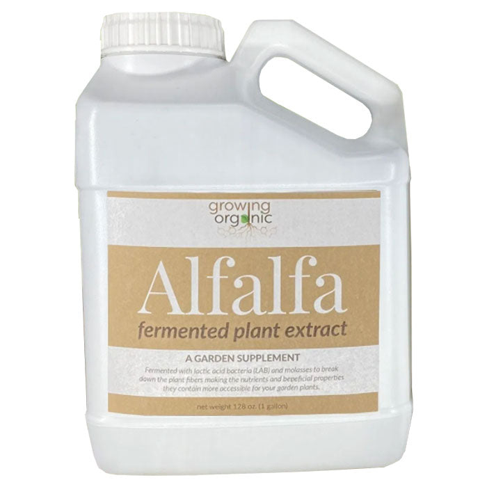 Growing Organic Alfalfa Fermented Plant Extract, 1 Gallon