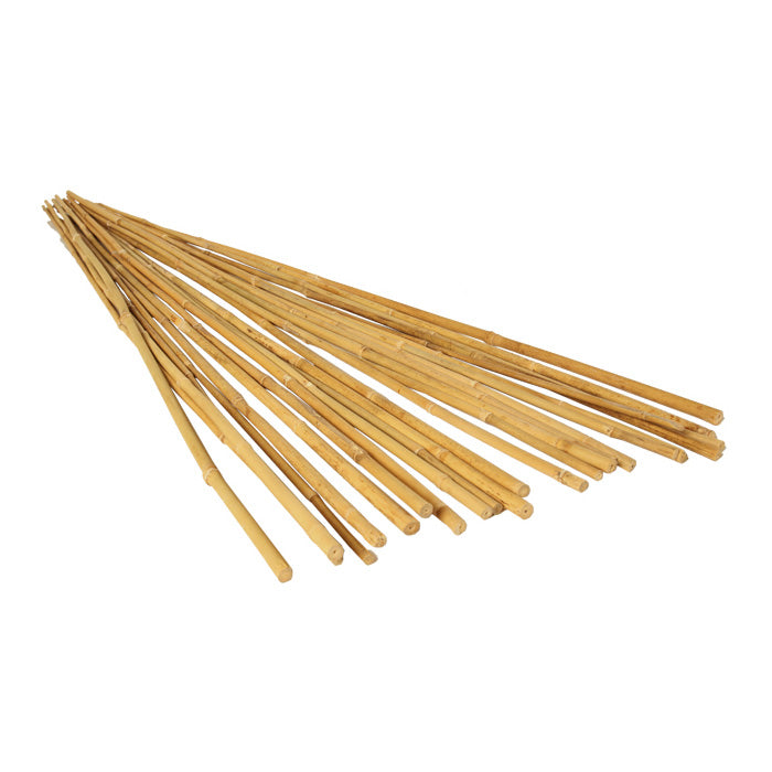 GROW!T Natural Bamboo Stakes, 8 Foot - Pack of 25