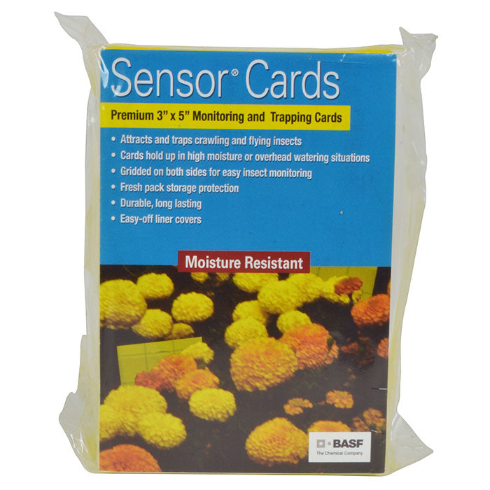 BASF Sensor Cards Yellow Monitoring and Trapping Cards - Pack of 50