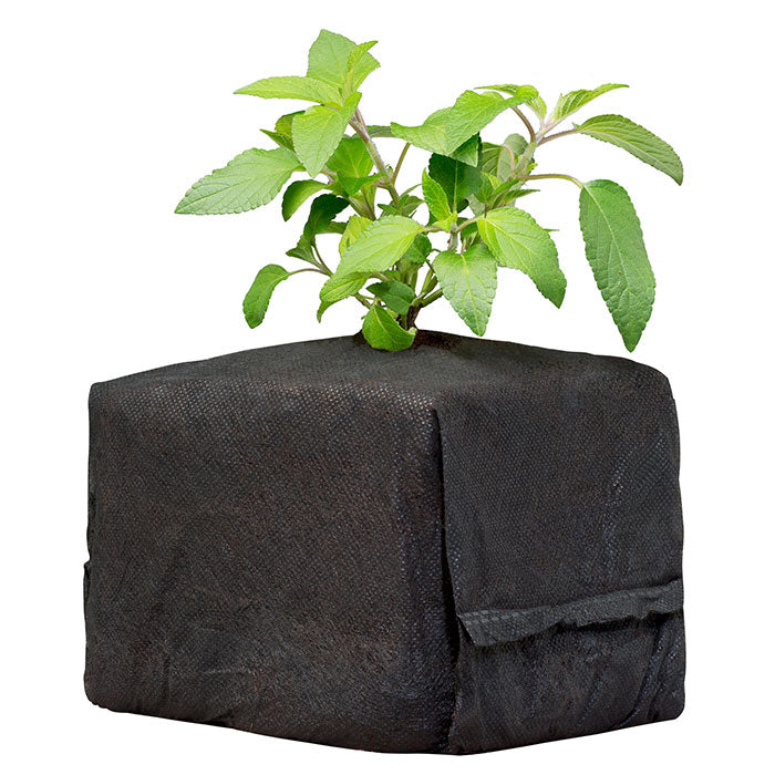 Botanicare CocoPro Cube, 6" x 6" x 6", Pack of 30
