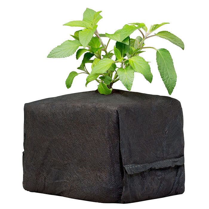 Botanicare CocoPro Cube, 4" x 4" x 4", Pack of 130