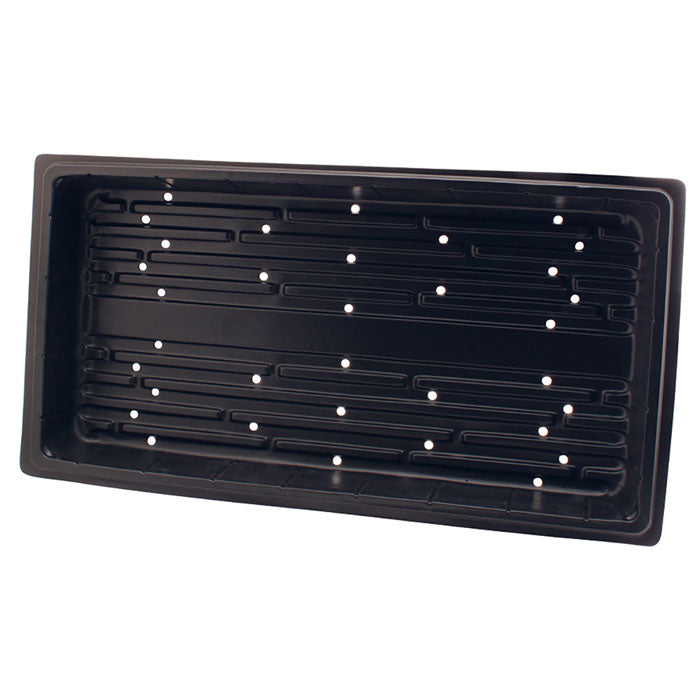Super Sprouter Propagation Tray 10 x 20 with Holes