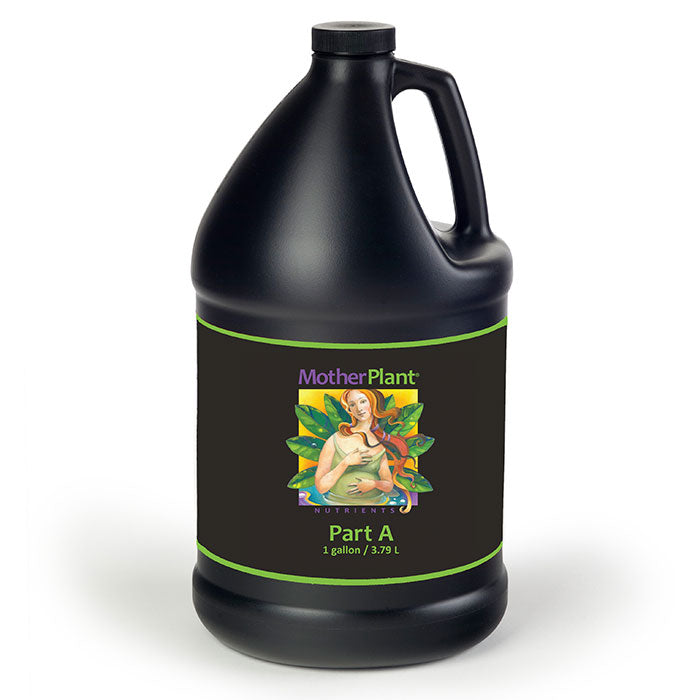 Hydrodynamics International Mother Plant A