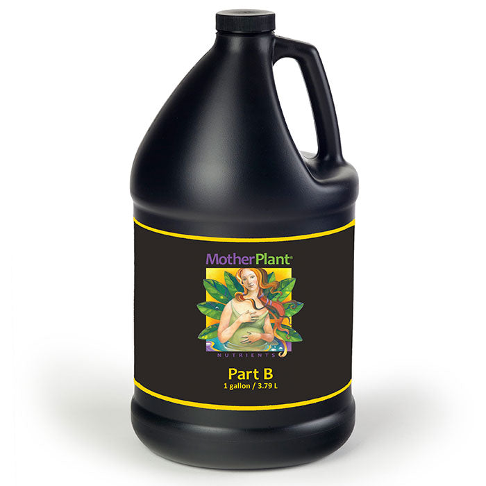 Hydrodynamics International Mother Plant B