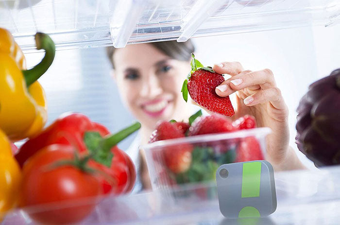 SensorPush HT1 Temperature / Humidity Smart Sensor