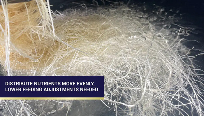 Hydra Unlimited HydraMax Venturi Circulator