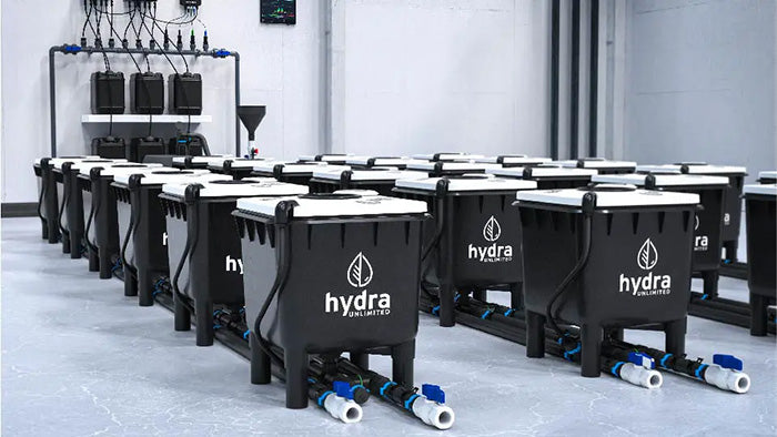 HydraMax Professional RDWC Hydroponic System, 4-Row, 12-Site System