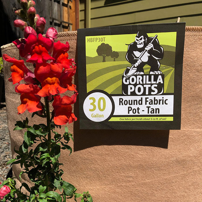 Gorilla Pot Premium Fabric Pots, Tan