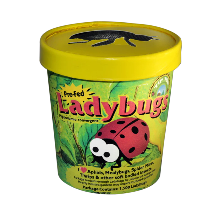 Tip Top Bio-Control Pre-Fed Ladybugs