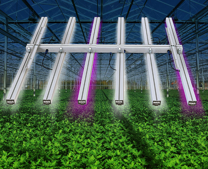 NanoLux 110 Watt LED Bar Light, Blue/Red