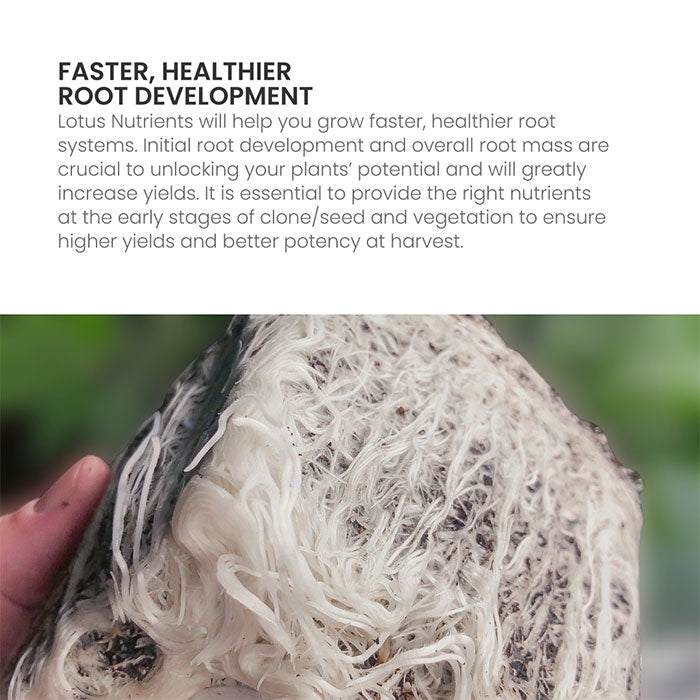 Lotus Pro Series Grow