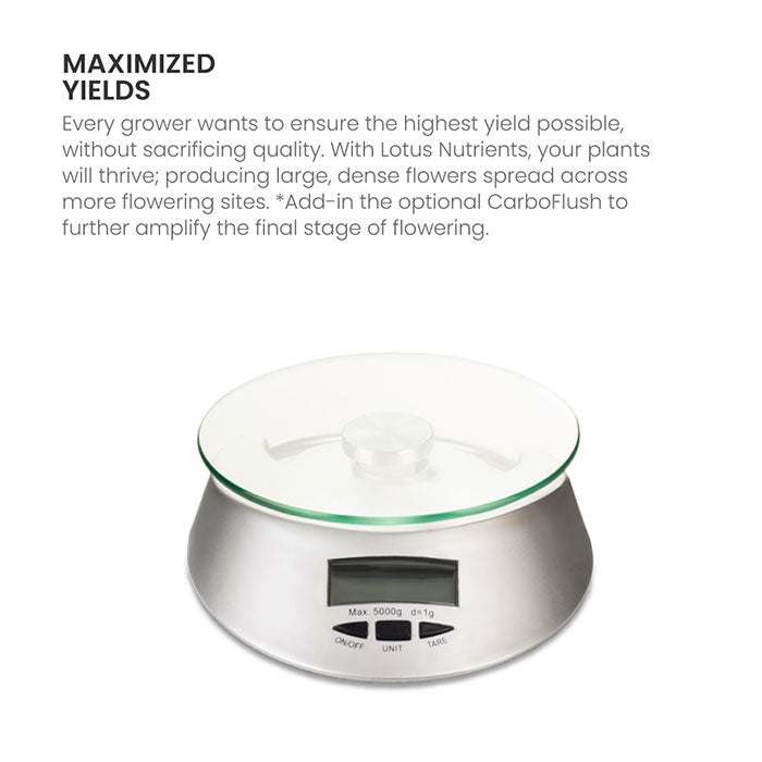 Lotus Pro Series Grow, 64 oz.