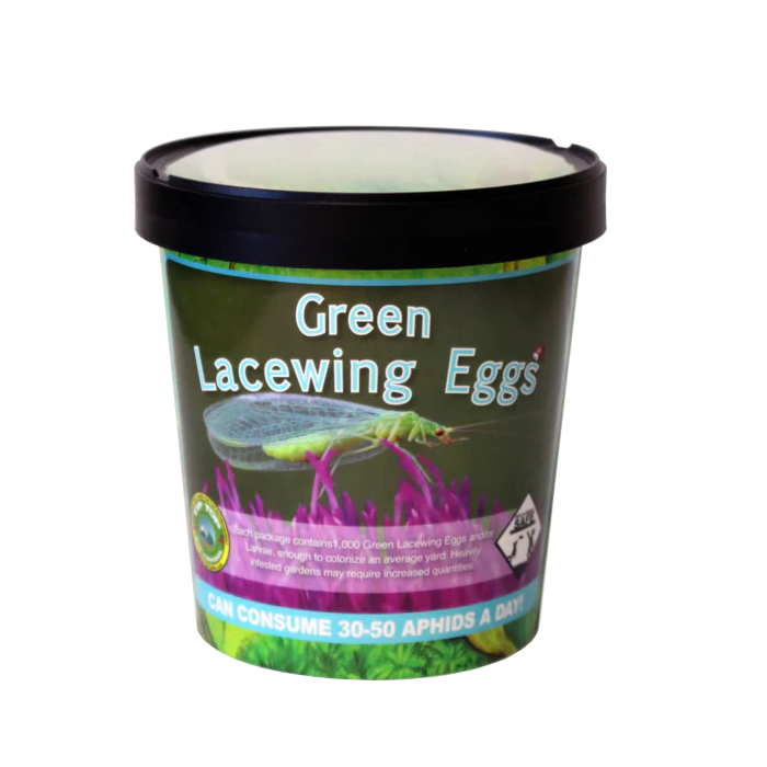 Tip Top Bio-Control Green Lacewing Eggs