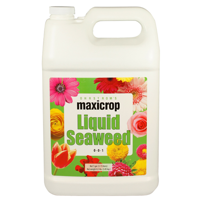 Maxicrop Original Liquid Seaweed, 1 Quart