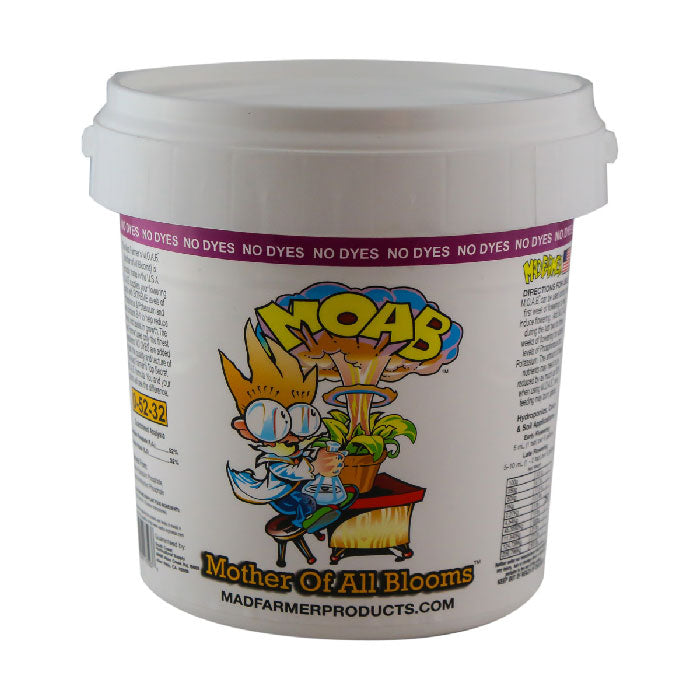 Mad Farmer Mother of All Bloom