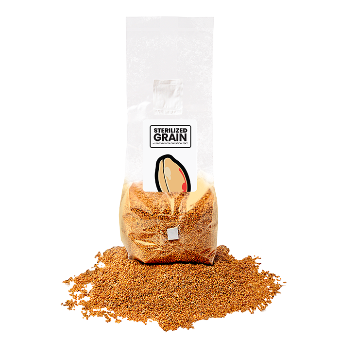 Mushroom Supplies Sterilized Mushroom Grain Spawn, 3 lb