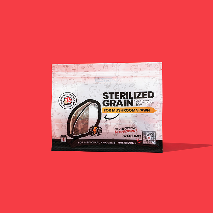 Mushroom Supplies Sterilized Mushroom Grain Spawn, 3 lb