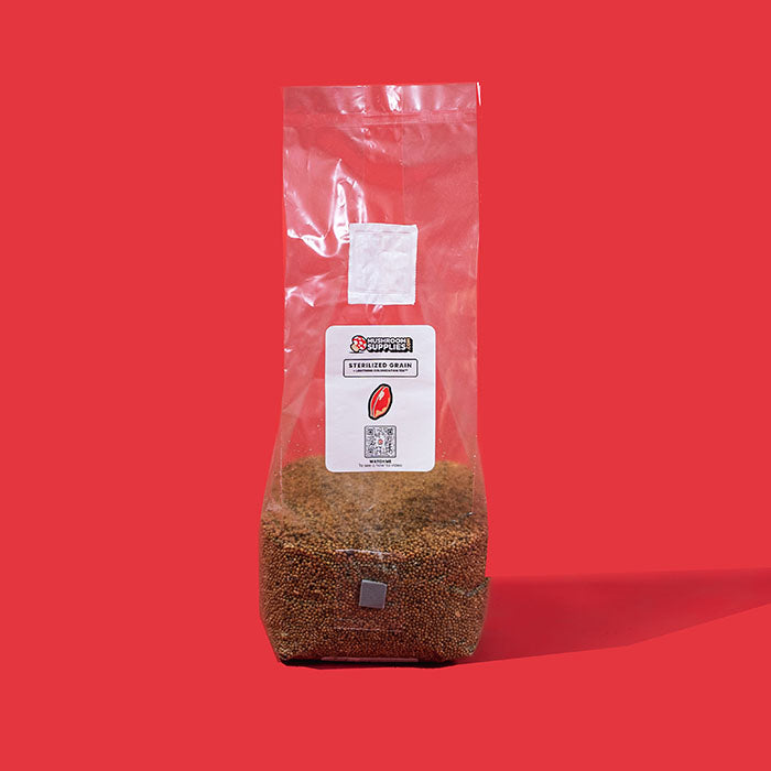 Mushroom Supplies Sterilized Mushroom Grain Spawn, 3 lb