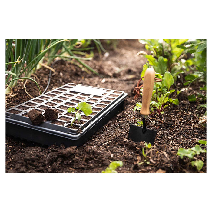 Mammoth 50 Cell Deep Starter Plugs