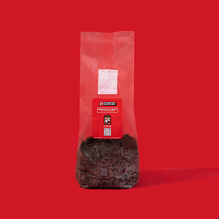 Mushroom Supplies All In One Mushroom Grow Kit In-A-Bag