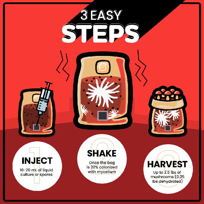 Mushroom Supplies All In One Mushroom Grow Kit In-A-Bag