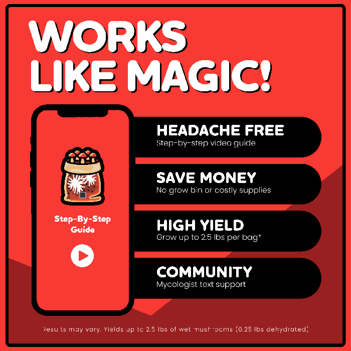 Mushroom Supplies All In One Mushroom Grow Kit In-A-Bag