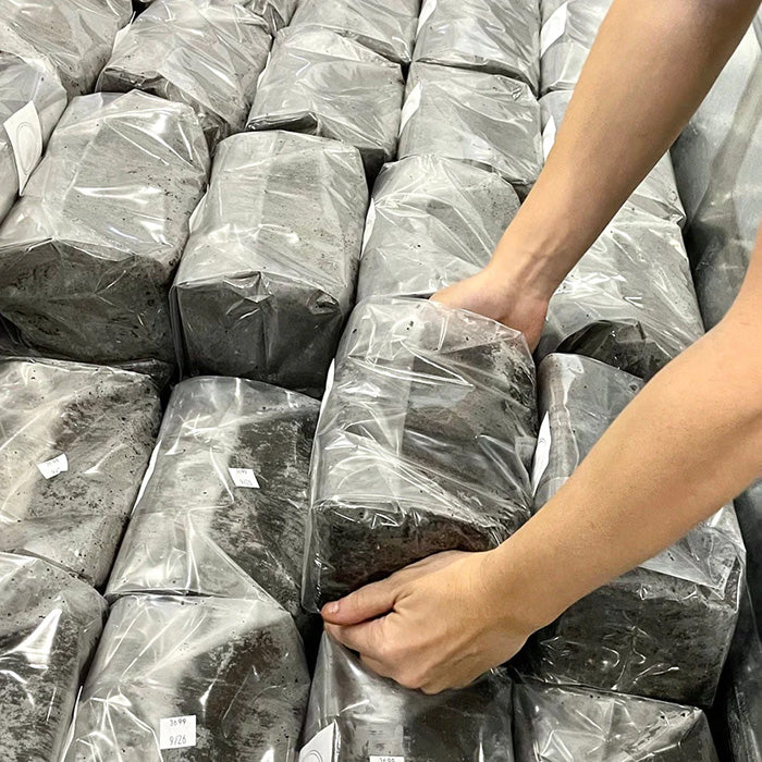 North Spore Boomr Bag Sterilized Manure-Based Mushroom Substrate