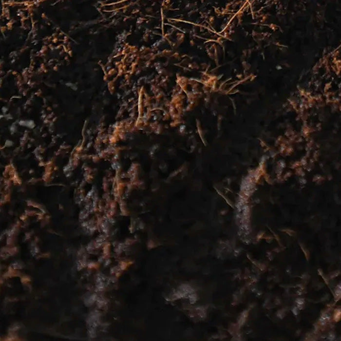 North Spore Boomr Bag Sterilized Manure-Based Mushroom Substrate