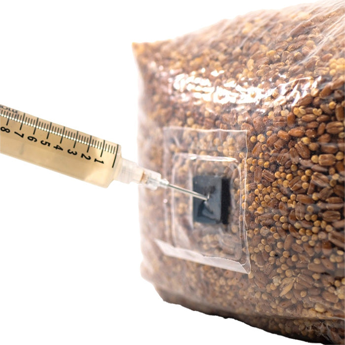 North Spore Sterilized Grain Bag