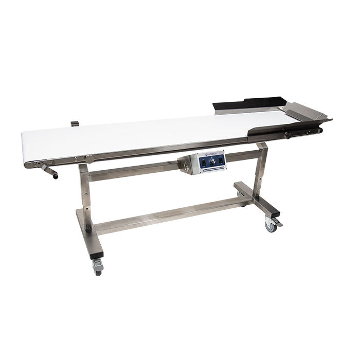 Mobius Outfeed Conveyor Package