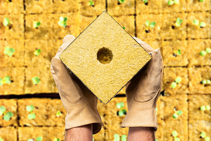 VidaWool Rockwool Block