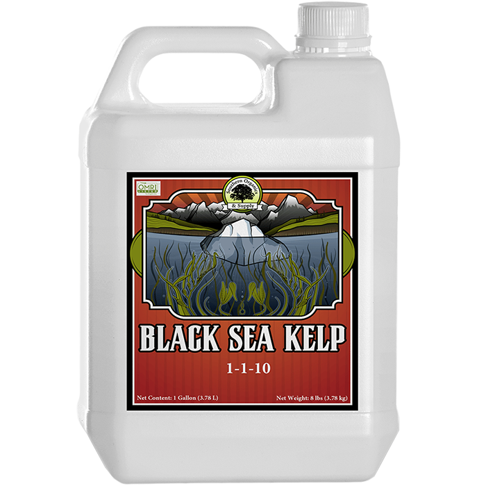 Performance Nutrition Black Sea Kelp, 2.5 Gallon